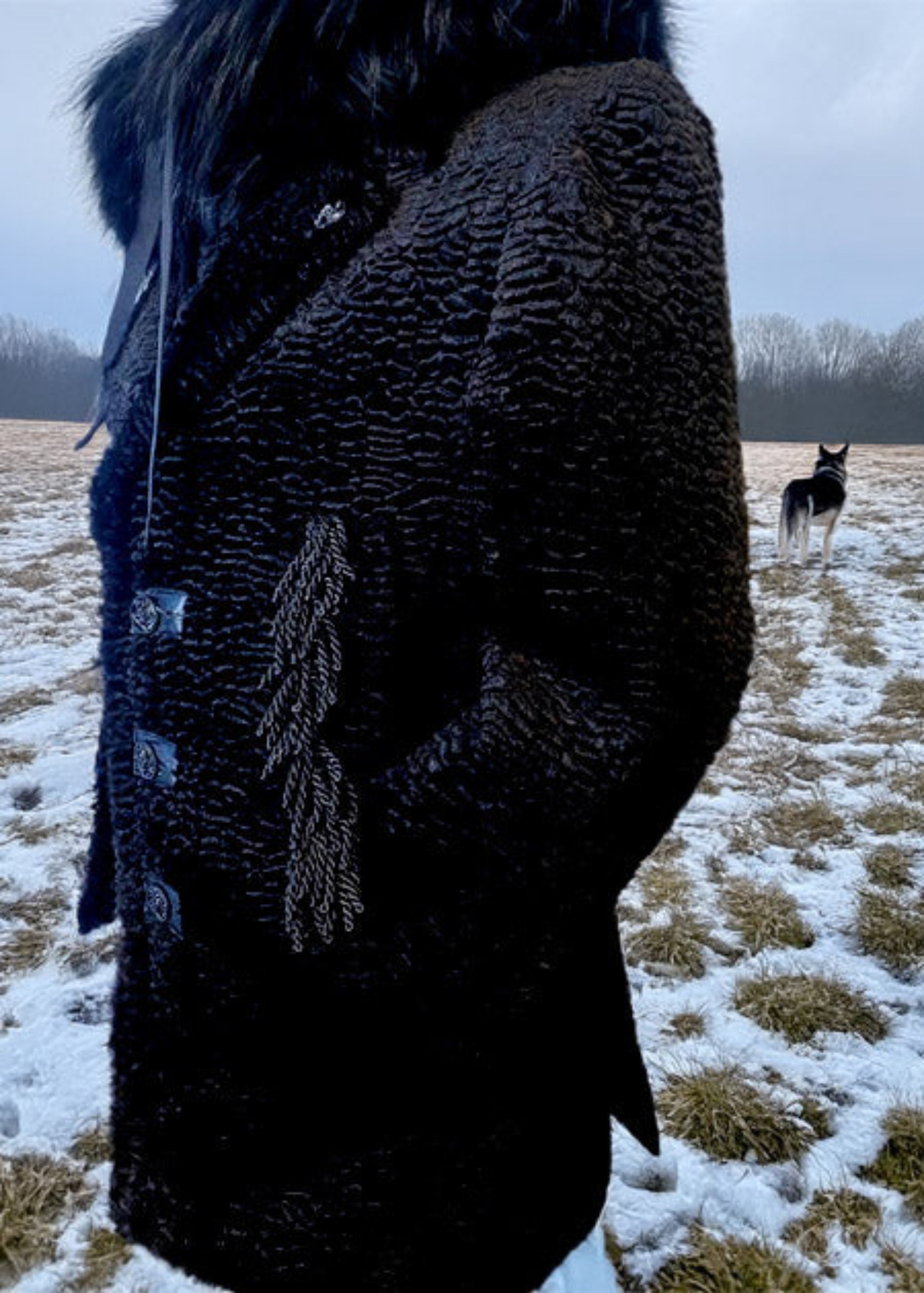 Stacy Stewart Smith Men's Black Knight Faux Persian Lamb Coat in Coal Black, close view frontal shown on mannequin at 6'3 with snowy meadow and dog background.