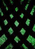 Stacy Stewart Smith Example Image of Argyle Labyrinth Onyx-Peridot Limited Edition Print showcasingg green sequins beneath a lattice of black bands.