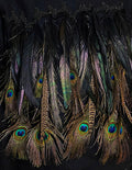 Stacy Stewart Smith — Pennaceous Beaded Boiled Wool Sweater design study. Peacock and pheasant feathers hand-applied against a black ground.
